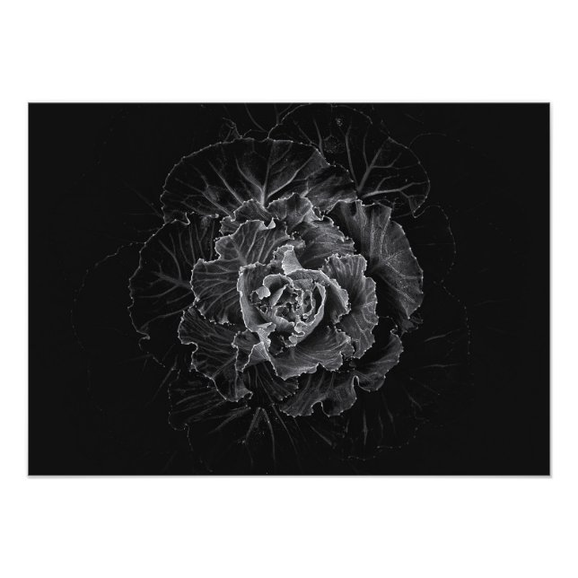 Impression Photo Fleurs de jardin en noir et blanc n° 100 (Devant)