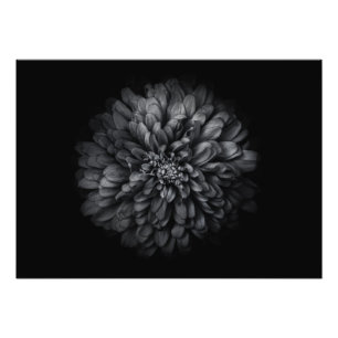 Impression Photo Fleurs De jardin En Noir Et Blanc No 68