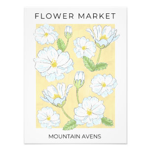 Impression Photo Fleurs de marché Fleurs de montagne Aven blanches