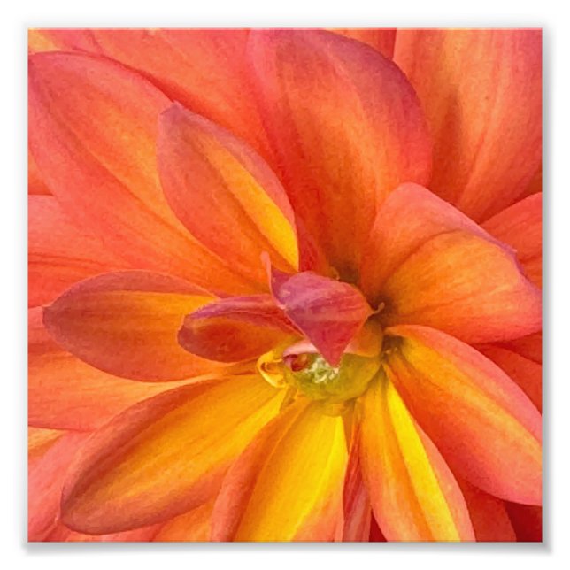 Impression Photo Fleurs de NYC (Devant)