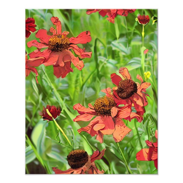 IMPRESSION PHOTO FLEURS DE RUDBECKIA ROUGES (Devant)