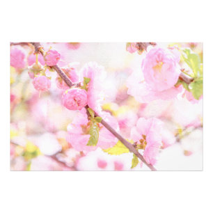 Impression Photo Fleurs de sakura roses - Cerisier japonais en fleu