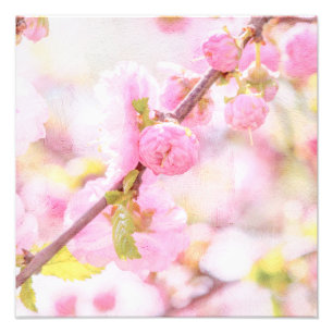 Impression Photo Fleurs de sakura roses - Fleur de cerisier japonai