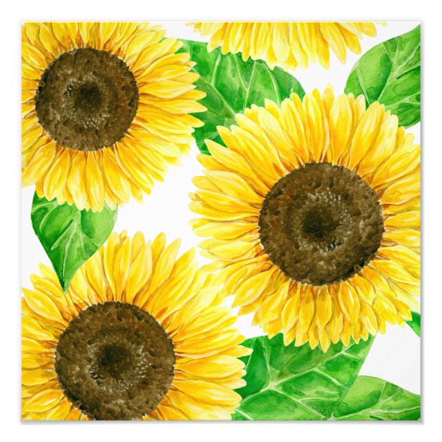 Impression Photo Fleurs de soleil (Devant)