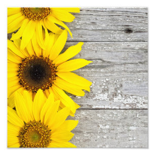 Impression Photo Fleurs de soleil sur une table