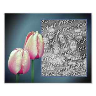 Impression Photo Fleurs de tulipe rose Créer votre propre cadre 8x1