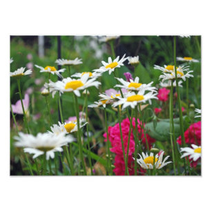 Impression Photo Fleurs du monde
