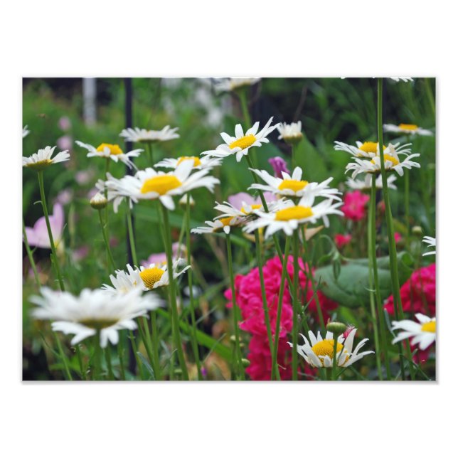 Impression Photo Fleurs du monde (Devant)