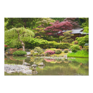 Impression Photo Fleurs en fleurs au jardin japonais,
