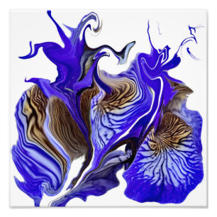 Impression Photo Fleurs Iris Violets