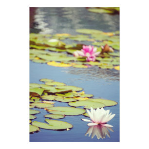 Impression Photo Fleurs Lilly Pond