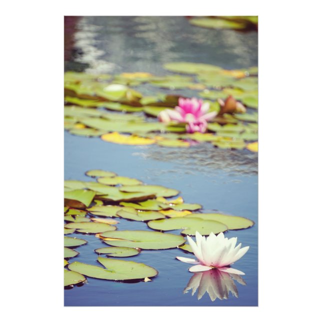 Impression Photo Fleurs Lilly Pond (Devant)