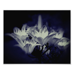 Impression Photo Fleurs Lys En Noir Et Blanc 8x10