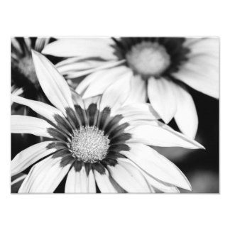 Impression Photo Fleurs noires et blanches