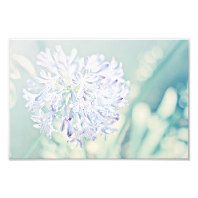 Impression Photo Fleurs Pastel (Devant)