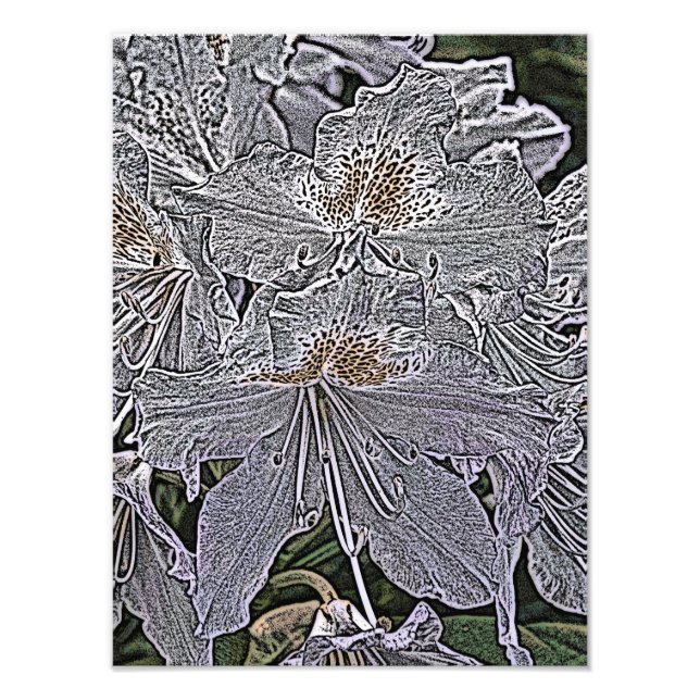 IMPRESSION PHOTO FLEURS RHODODENDRON (Devant)