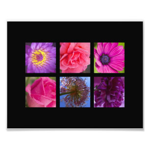 Impression Photo Fleurs roses et pourpres