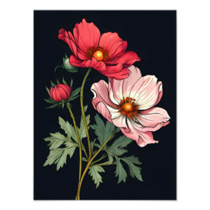 Impression Photo Fleurs roses et rouges frappantes sur le noir