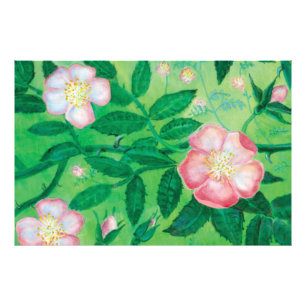 Impression Photo Fleurs roses sauvages