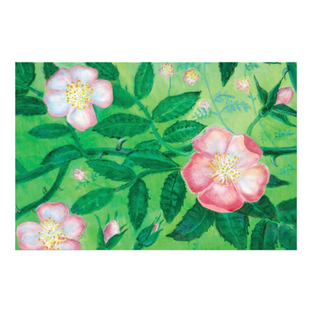 Impression Photo Fleurs roses sauvages (Devant)