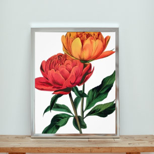 Impression Photo Fleurs rouges et oranges vibrantes