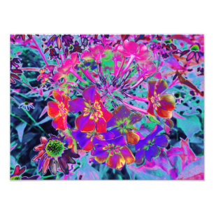 Impression Photo Fleurs rouges et violettes colorées psychédéliques