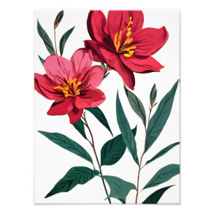 Impression Photo Fleurs rouges frappantes sur Arrière - plan blanc