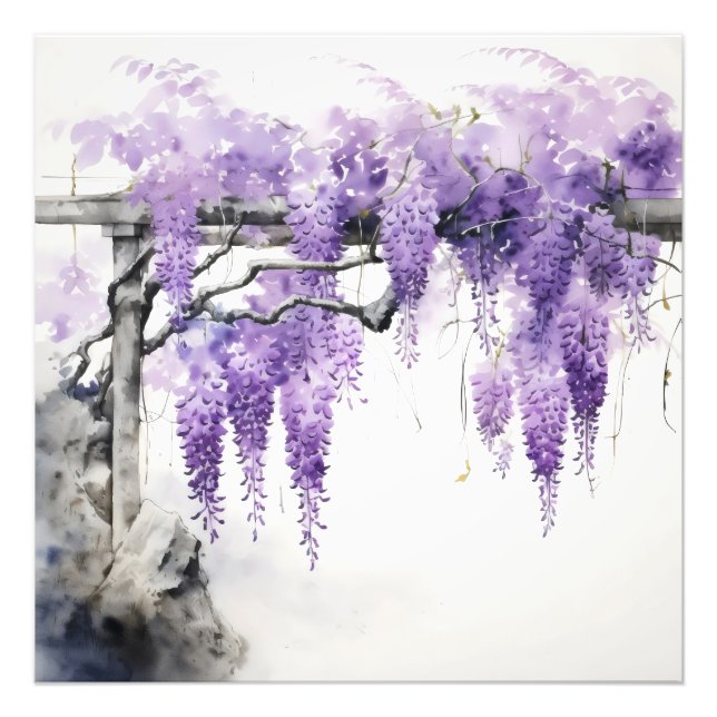 Impression Photo Fleurs violettes couleur Wisteria (Devant)