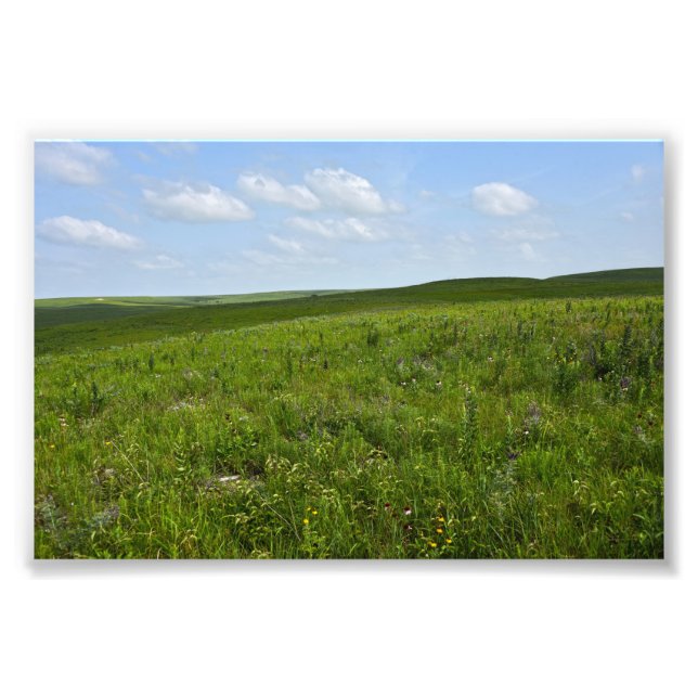 Impression Photo Flint Hills Fleurs sauvages, Kansas (Devant)