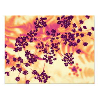 Impression Photo floral
