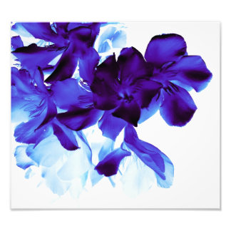 Impression Photo floral