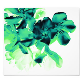 Impression Photo floral