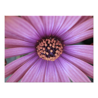 Impression Photo floral