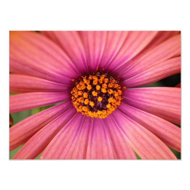 Impression Photo floral (Devant)