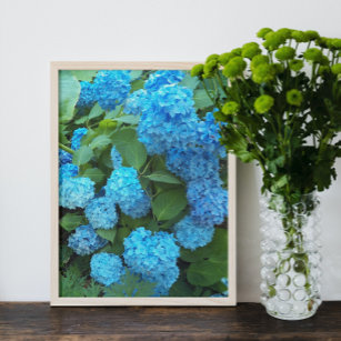 Impression Photo Floral d'Hydrangée Bleue