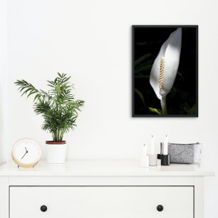 Impression Photo Floral Plante blanc Lily