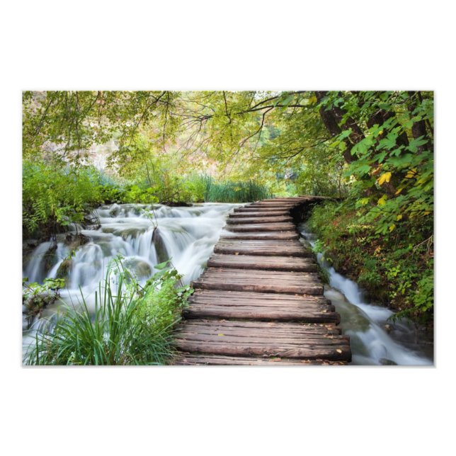 Impression Photo Flux dans la forêt (Devant)