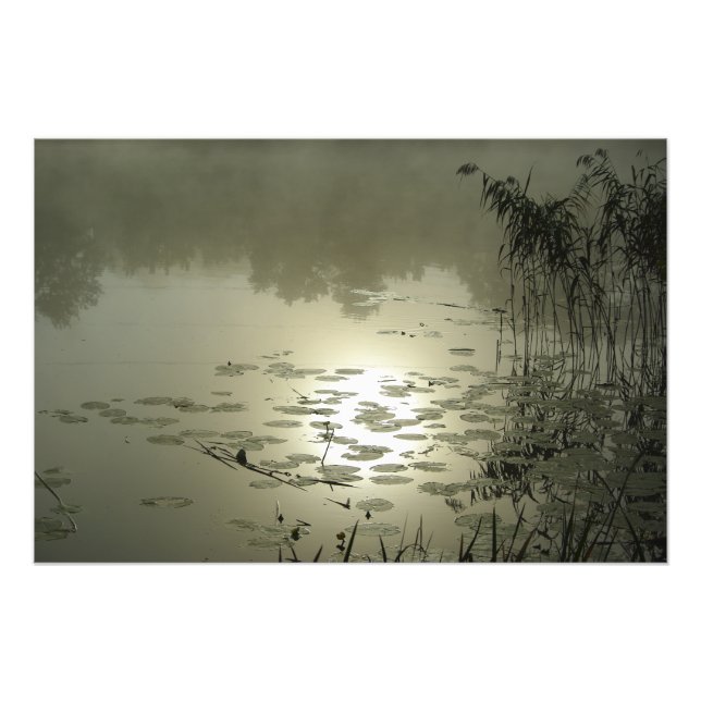 Impression Photo Foggy jour au-dessus du lac (Devant)