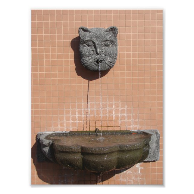 Impression Photo Fontaine à chats de la Plaza (Devant)