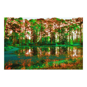 Impression Photo Forêt d'Imaginaires par Shirley Taylor