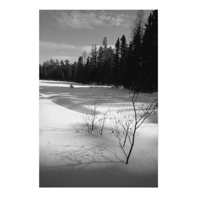Impression Photo Forêt nord neigeuse (Devant)