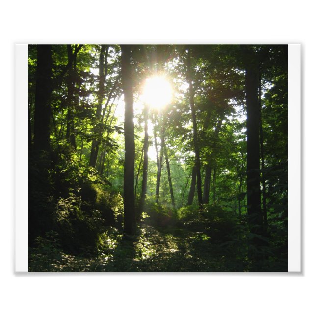 Impression Photo Forêt Wapsipinicon (Devant)