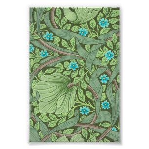 Impression Photo Forget-Me-Nots, Wallpaper de William Morris