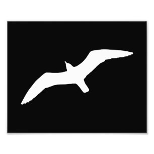 Impression Photo Forme de poisson