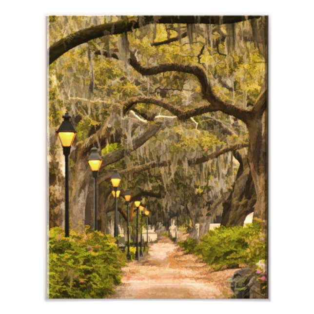 Impression Photo Forsyth Park - Photo, Savannah, Géorgie (GA) USA (Devant)