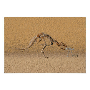 Impression Photo Fossile de faille spatio-temporelle