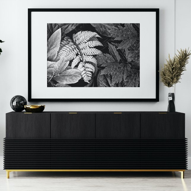 Impression Photo Fougère et feuillage noir et blanc (In Situ Framed)