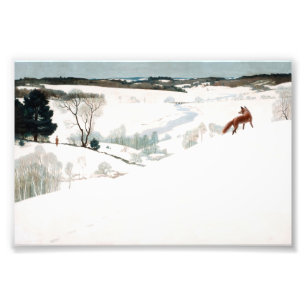 Impression Photo Fox dans la neige par Newell Convers Wyeth