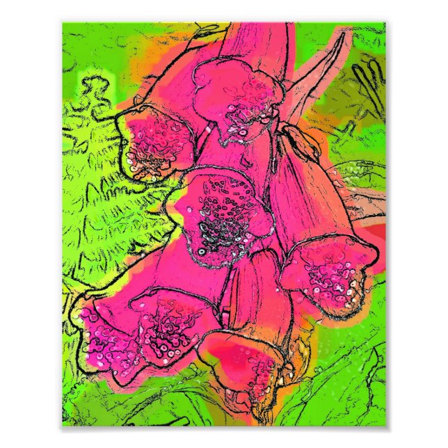 IMPRESSION PHOTO FOXGLOVES (Devant)