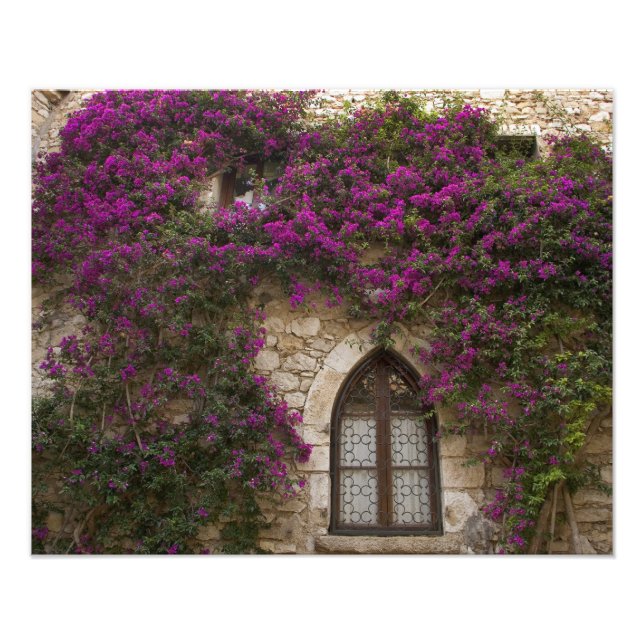Impression Photo France, Provence, Èze. Rose vif (Devant)